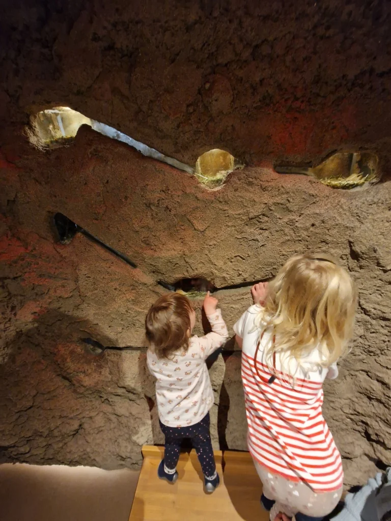 Nationalparkzentrum Königsstuhl Indoor Ausstellung - Rundgang mit Kindern und Kopfhörern
