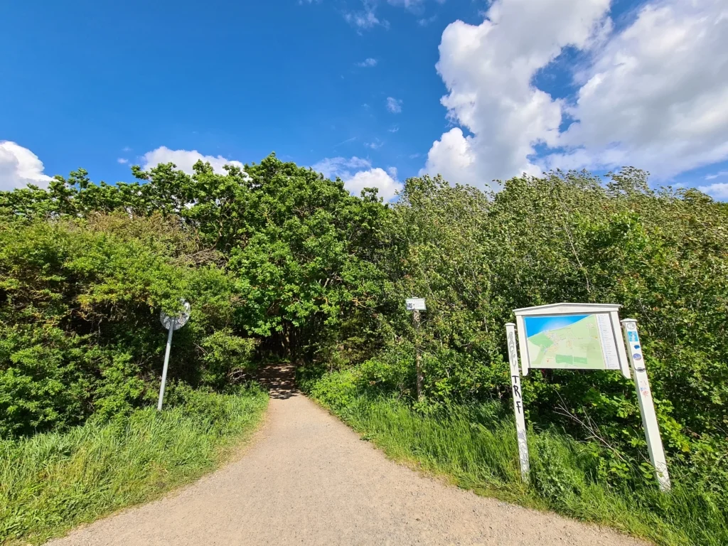 Gespensterwald ostsee nienhagen eingang aus richtung heiligendamm