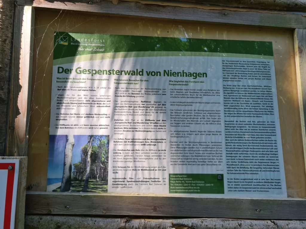 Tafel gespensterwald nienhagen beschreibung