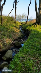 Gespensterwald Fluß in die Ostsee