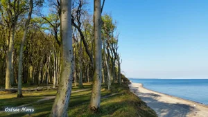 gespensterwald fruehling 2015 29