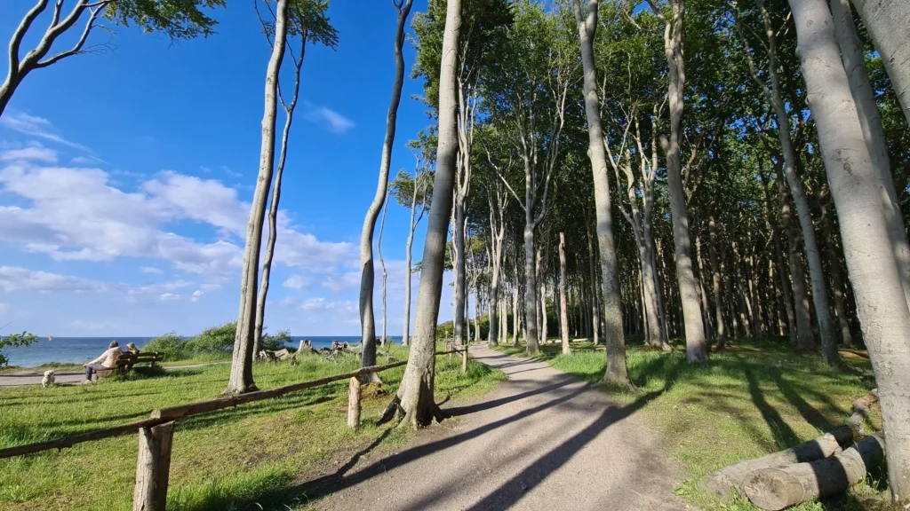 gespensterwald ostseebad nienhagen 24