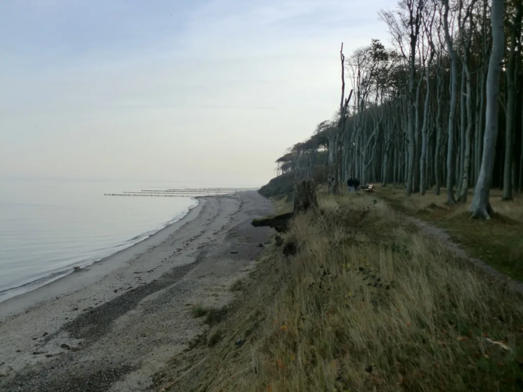 gespensterwald ostseebad nienhagen 31