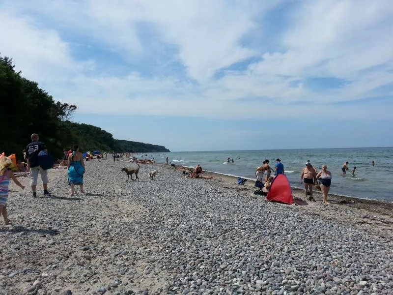 Hundestrand in Warnemünde und Diedrichshagen