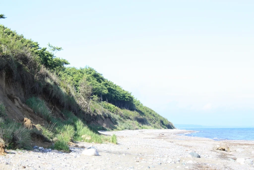 hundestrand ostseebad nienhagen steinstrand