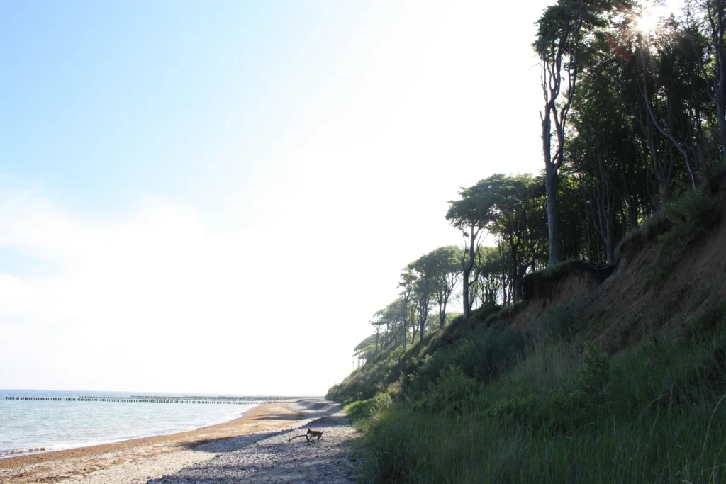 hundestrand ostseebad nienhagen steinstrand 2
