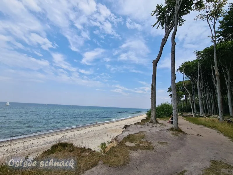 ostsee gespensterwald juli 2021 wassertemperatur