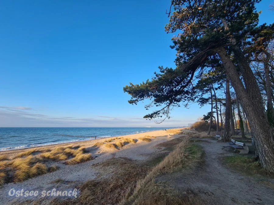 Strand vom Weststrand Warnemünde Richtung Osten blickend