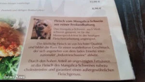 restaurant lenks rostock Fleishc vom Mangalica Schwein