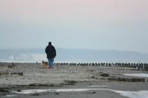 Am Strand vom Ostseebad Nienhagen trifft man viele andere Hundebsitzer