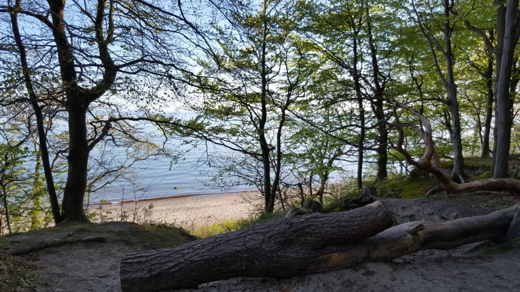 wilhelmshoehe diedrichshagen warnemuende hundestrand 02