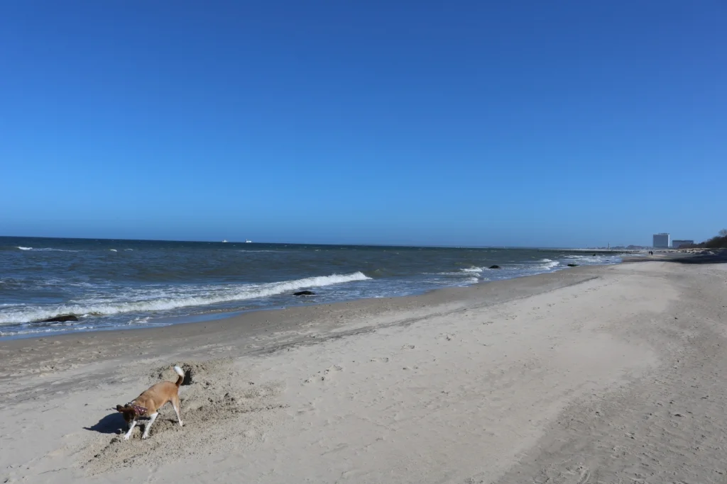 wilhelmshoehe diedrichshagen warnemuende hundestrand 07