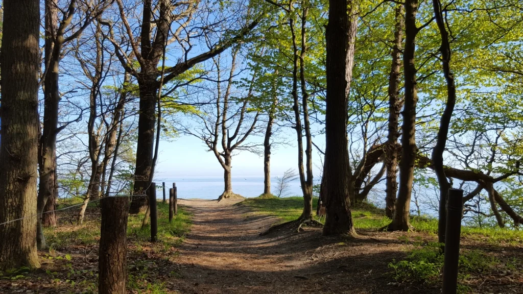 wilhelmshoehe diedrichshagen warnemuende hundestrand 11