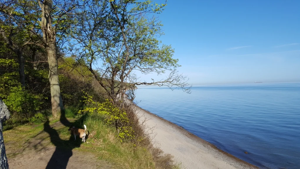 wilhelmshoehe diedrichshagen warnemuende hundestrand 12