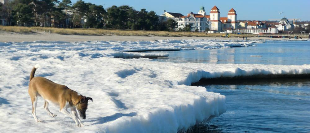 Winterurlaub an der Ostsee auf der Insel Rügen im Ostseebad Binz - Winter mit dicken Eisschollen am Ostseestrand