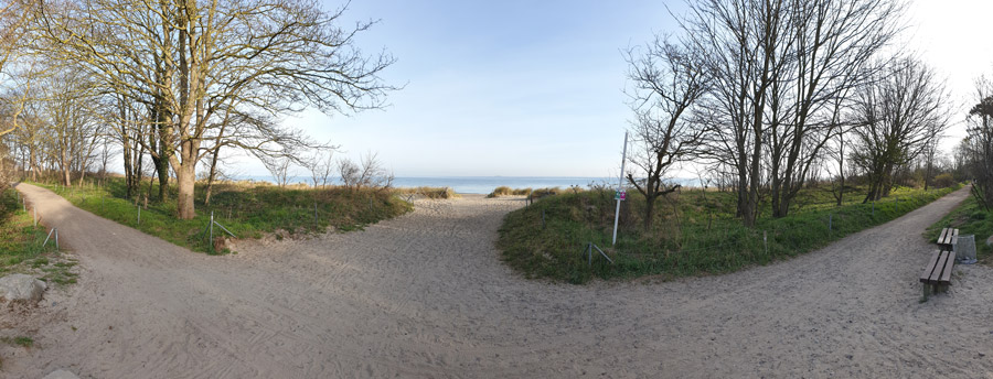 Die Ostsee bei Warnemünde im März 2020 - die Bäume werden langsam grün, der Himmel ist wolkenlos, der Strand und die Wege sind menschenleer in dieser Coronazeit