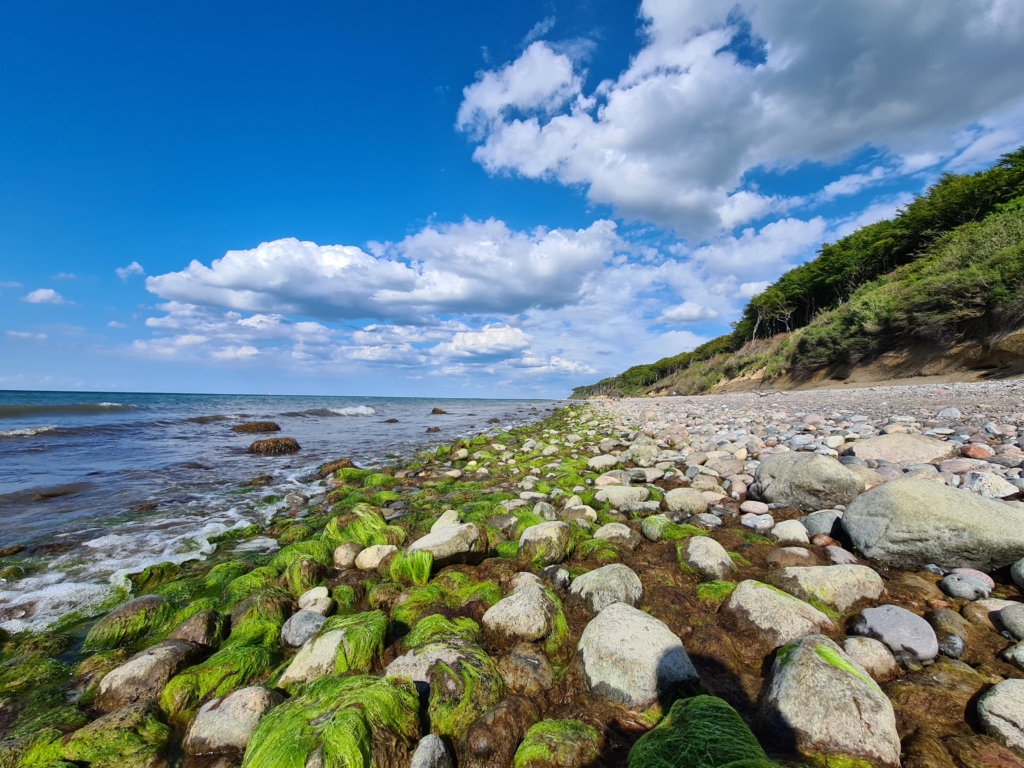 Steine über Steine am Ostsee Hundestrand im Ostseebad Nienhagen
