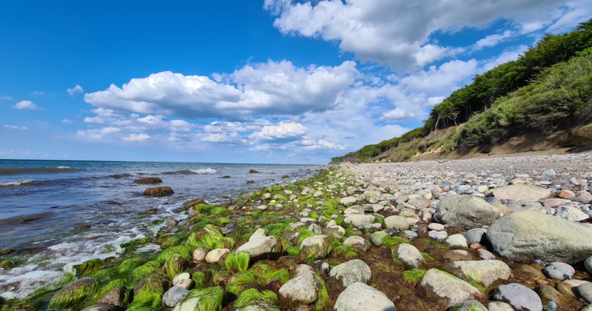 Steine über Steine am Ostsee Hundestrand im Ostseebad Nienhagen